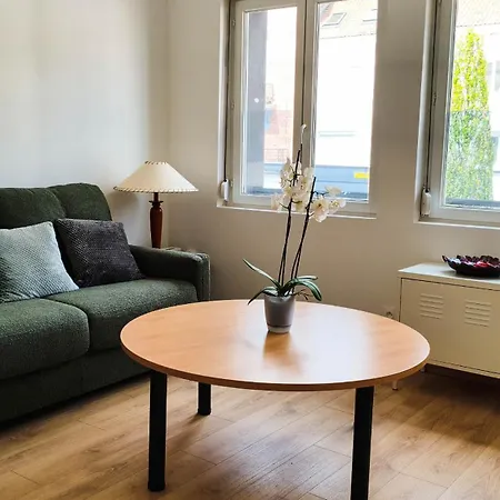 L'ecrin - Coeur De - Climatisation Apartment *